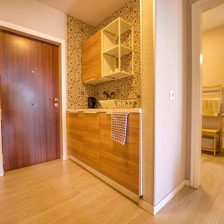 Daire Estudio Con Terraza Y Vistas Espectaculares Ov302